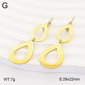 2E2007340aajo-698  Stainless Steel Earrings