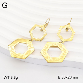 2E2007341aajo-698  Stainless Steel Earrings