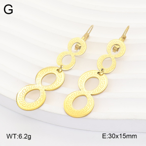 2E2007342aajo-698  Stainless Steel Earrings