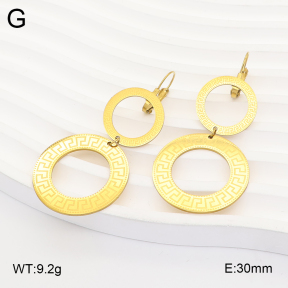 2E2007343aajo-698  Stainless Steel Earrings