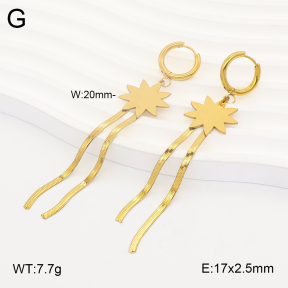 2E2007346baka-698  Stainless Steel Earrings