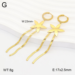 2E2007347baka-698  Stainless Steel Earrings
