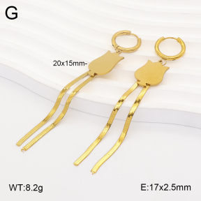 2E2007348baka-698  Stainless Steel Earrings
