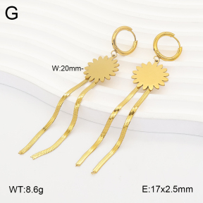 2E2007349baka-698  Stainless Steel Earrings