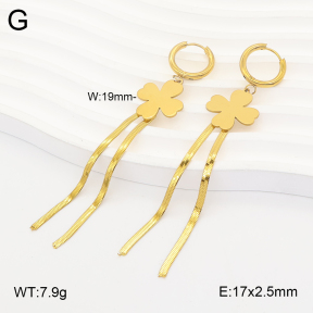 2E2007351baka-698  Stainless Steel Earrings