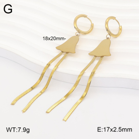 2E2007352baka-698  Stainless Steel Earrings