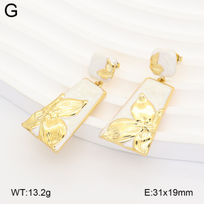 2E3004205vbmb-434  Stainless Steel Earrings
