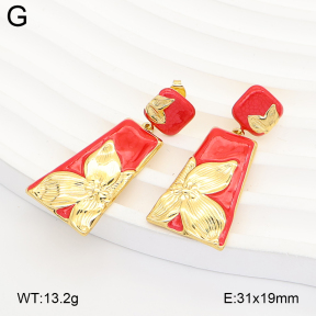 2E3004207vbmb-434  Stainless Steel Earrings