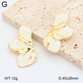 2E3004211aajl-434  Stainless Steel Earrings