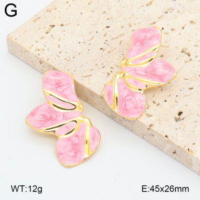 2E3004213aajl-434  Stainless Steel Earrings