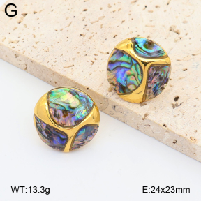 2E3004214vhhl-434  Stainless Steel Earrings