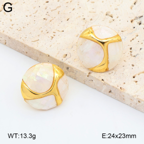 2E3004215vhhl-434  Stainless Steel Earrings