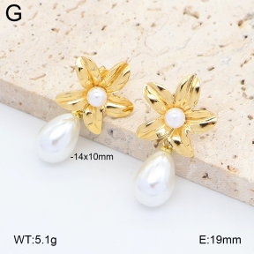 2E3004216baka-434  Stainless Steel Earrings