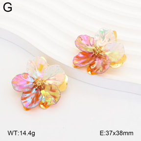 2E3004217vhha-434  Stainless Steel Earrings