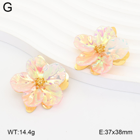 2E3004218vhha-434  Stainless Steel Earrings