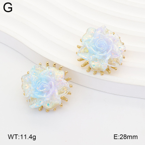 2E3004219bbov-434  Stainless Steel Earrings