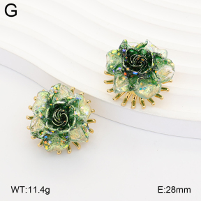 2E3004220bbov-434  Stainless Steel Earrings