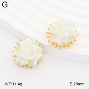 2E3004221bbov-434  Stainless Steel Earrings