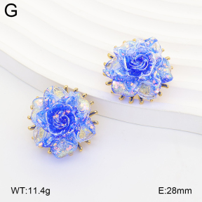 2E3004222bbov-434  Stainless Steel Earrings