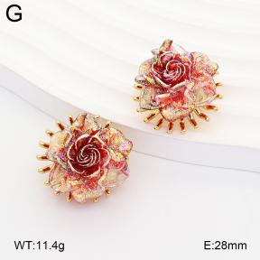 2E3004223bbov-434  Stainless Steel Earrings