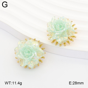 2E3004224bbov-434  Stainless Steel Earrings