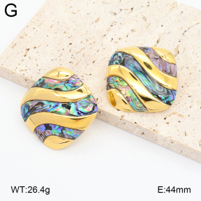 2E3004225bhia-434  Stainless Steel Earrings