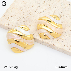 2E3004226bhia-434  Stainless Steel Earrings