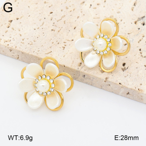 2E3004227vbnl-434  Stainless Steel Earrings