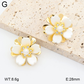 2E3004228vbnl-434  Stainless Steel Earrings