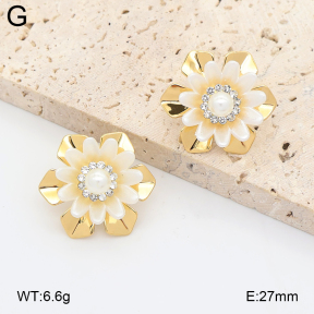 2E3004229vbnl-434  Stainless Steel Earrings
