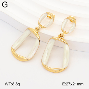 2E3004231abol-434  Stainless Steel Earrings