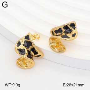 2E3004234vbnb-434  Stainless Steel Earrings