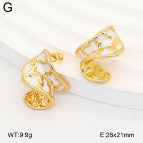 2E3004235vbnb-434  Stainless Steel Earrings