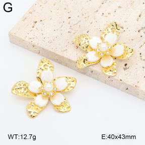2E3004236vbpb-434  Stainless Steel Earrings