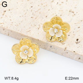 2E3004237bbov-434  Stainless Steel Earrings