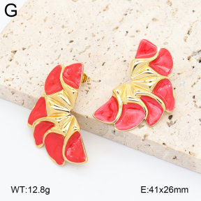 2E3004240baka-434  Stainless Steel Earrings
