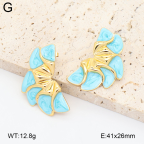 2E3004242baka-434  Stainless Steel Earrings
