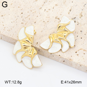 2E3004243baka-434  Stainless Steel Earrings
