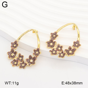 2E3004244baka-434  Stainless Steel Earrings