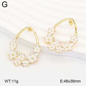 2E3004245baka-434  Stainless Steel Earrings