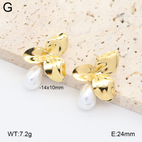 2E3004246ablb-434  Stainless Steel Earrings