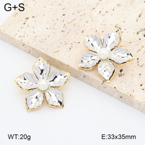 2E3004248vbmb-434  Stainless Steel Earrings
