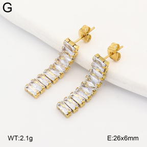 2E4005340vbll-743  Stainless Steel Earrings