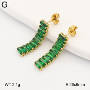 2E4005341vbll-743  Stainless Steel Earrings