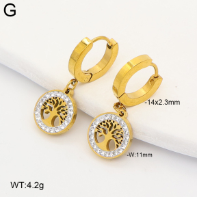 2E4005342bbov-743  Stainless Steel Earrings