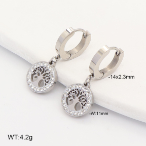 2E4005343vbnb-743  Stainless Steel Earrings