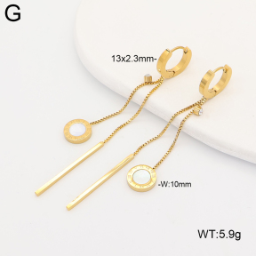 2E4005345vbpb-743  Stainless Steel Earrings