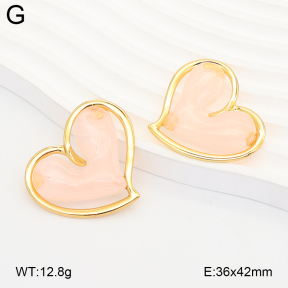 2E4005347vbmb-434  Stainless Steel Earrings