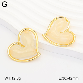 2E4005348vbmb-434  Stainless Steel Earrings