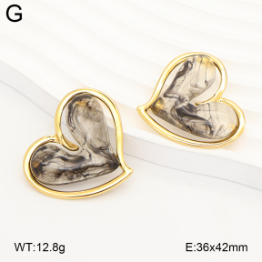 2E4005349vbmb-434  Stainless Steel Earrings